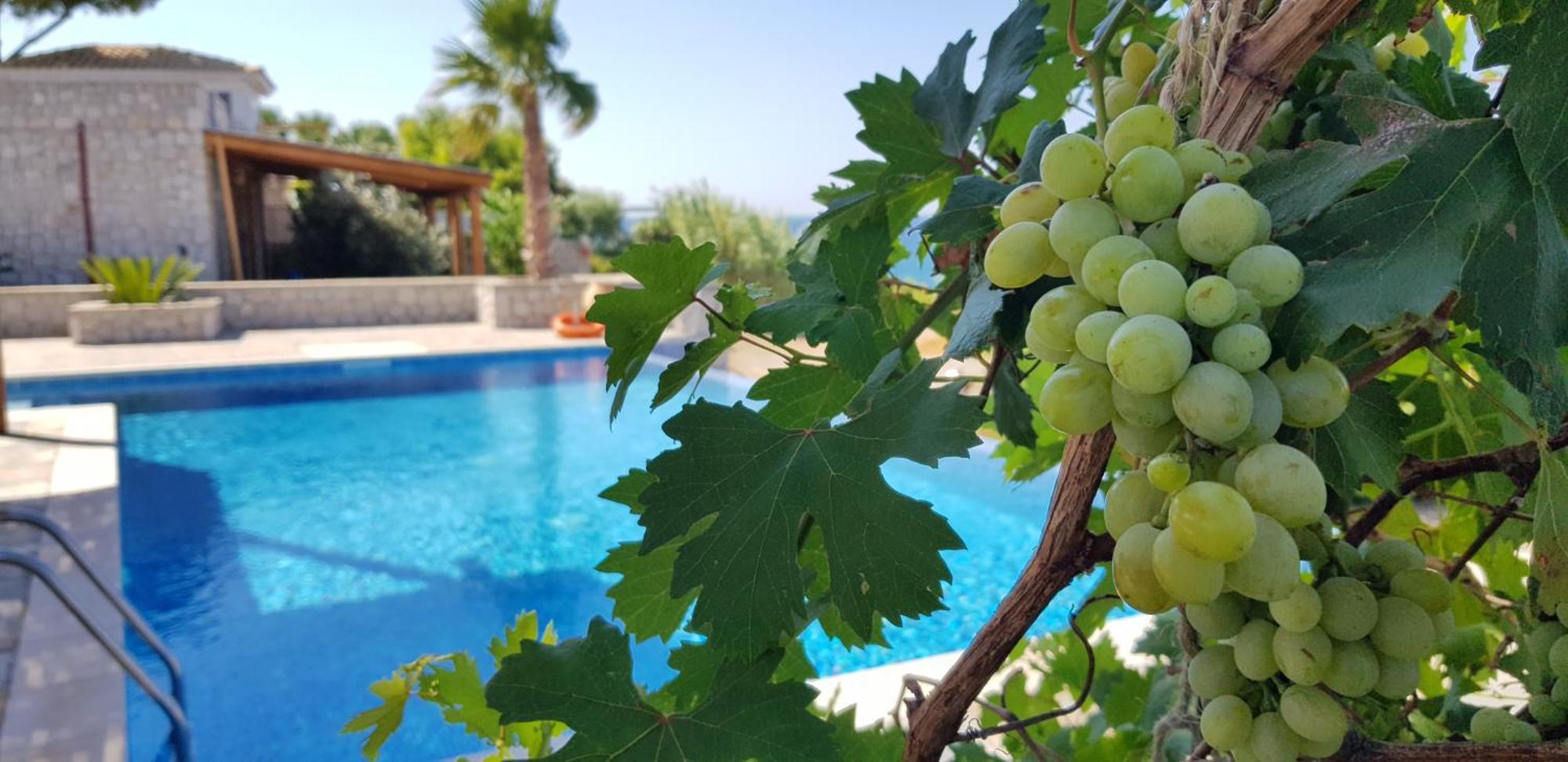 Villa Sealine Pefki (Rhodes) Quarto foto
