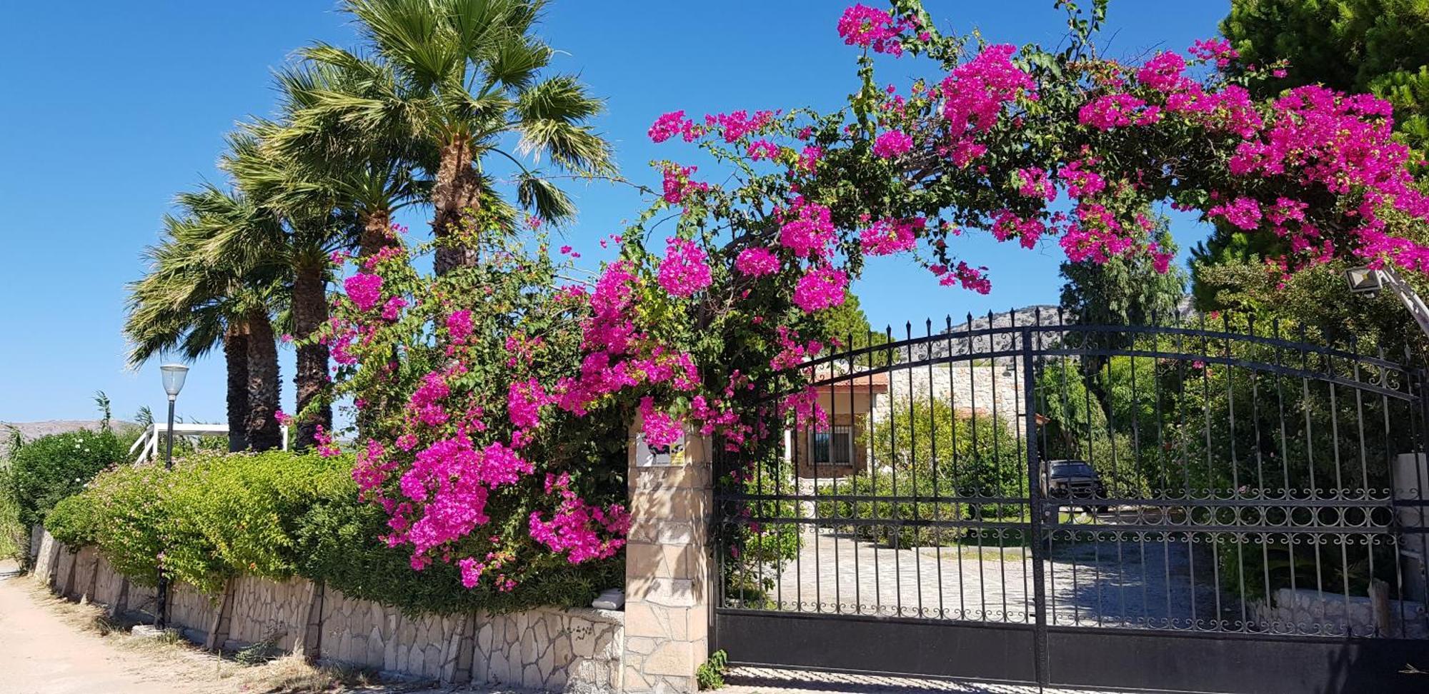 Villa Sealine Pefki (Rhodes) Quarto foto